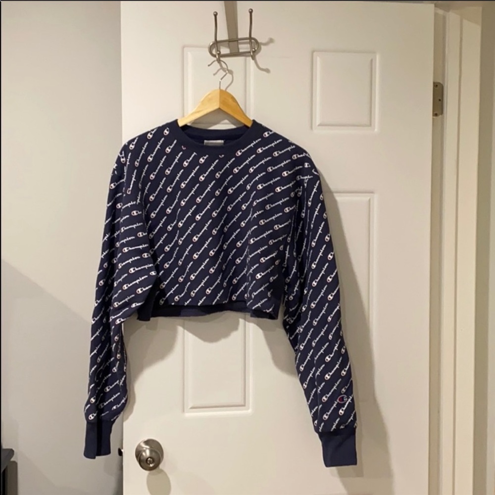 Champion crop hoodie